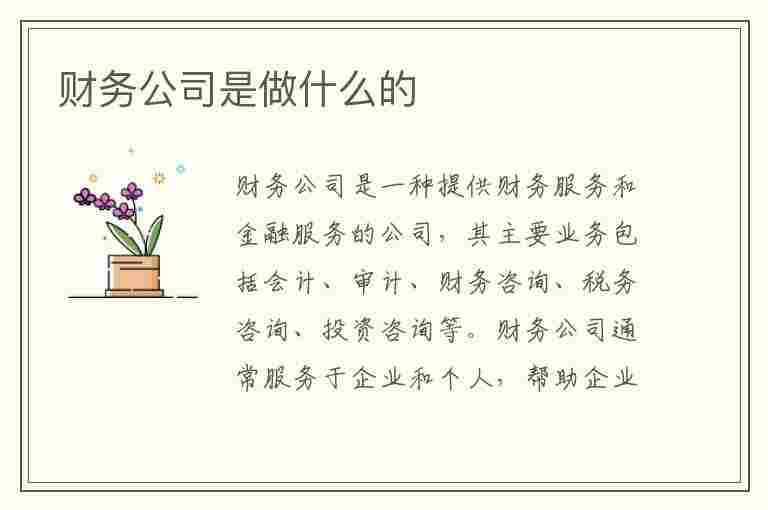 财务公司是做什么的(集团财务公司是做什么的)